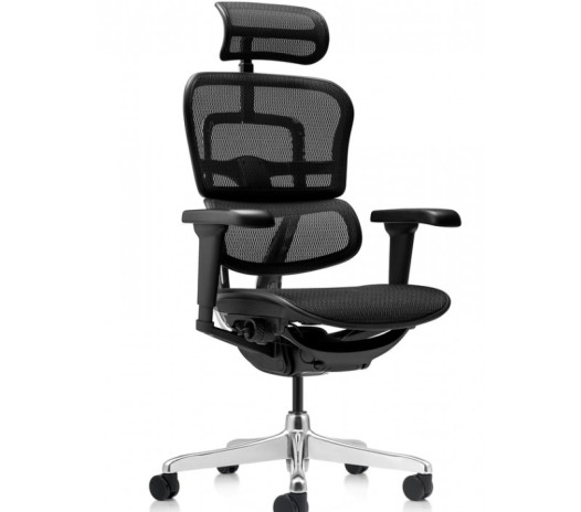 Scaun Ergohuman 2 Ultra 30.12.92, spatar reglabil, tetiera reglabila 2D, suport lombar